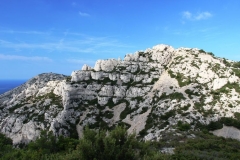 Sugiton-par-les-toits8