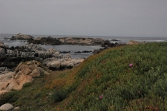 Californie-001