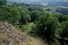 Cluny 032
