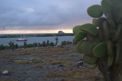 Galapagos