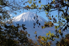 Japon 221