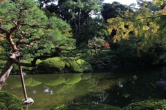 Japon 293