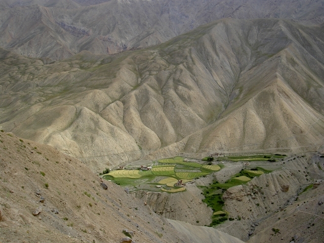 Ladakh 035
