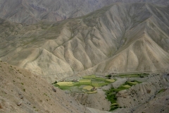 Ladakh 035