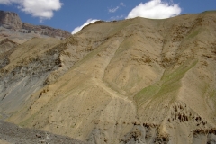 Ladakh 043