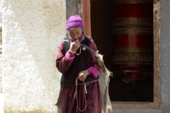 Ladakh 066