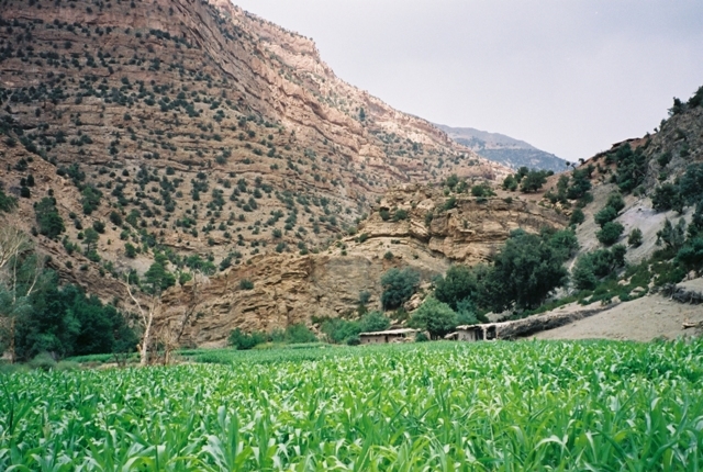 Maroc 2003 015