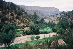 Maroc 2003 014