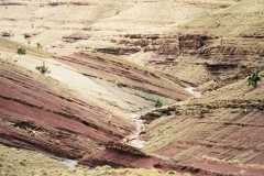 Maroc 2003 033