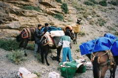 Maroc 2003 003