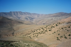 Maroc 2003 022