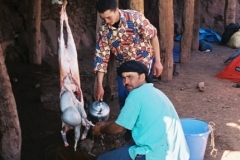 Maroc 2003 035