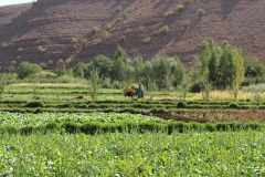 Maroc 2017 011