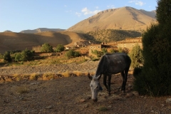 Maroc 2017 020