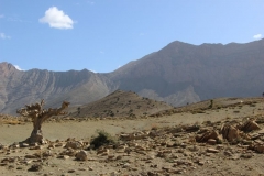 Maroc 2017 055
