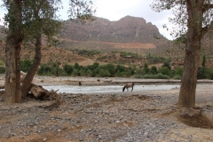 Maroc 2017 107