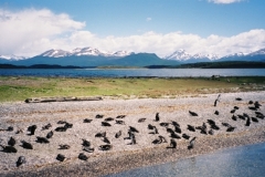 Patagonie 008